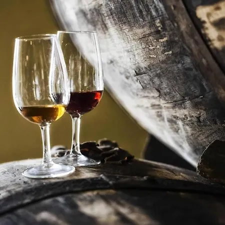 Enjoy Madeira 1 Канису