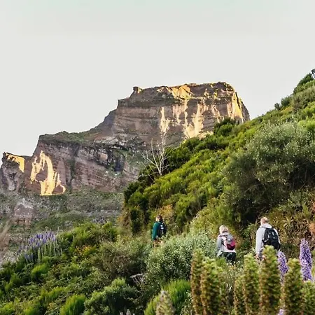 Garajau Madeira Holidays 1 * 카니코