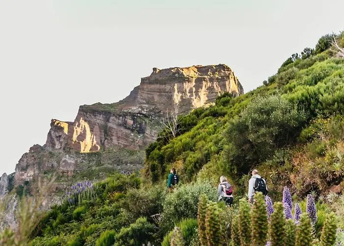 Enjoy Madeira 1 * Canico (Madeira)