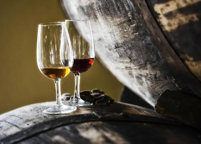 Enjoy Madeira 1 Canico (Madeira)